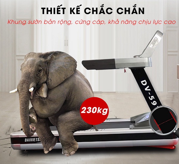 Review Máy Chạy Bộ điện Đại Việt DV – 5919