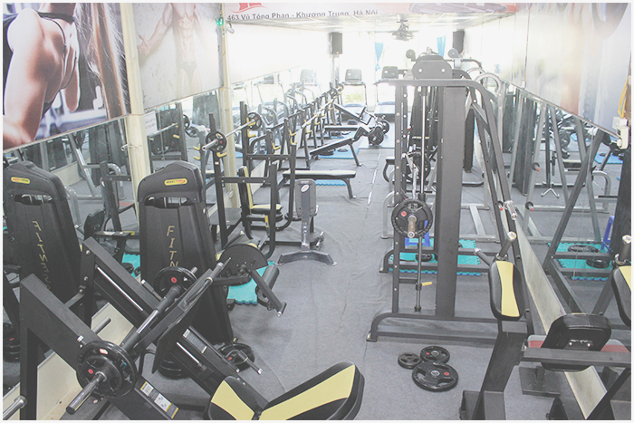 Thanh lý dụng cụ phòng gym tiêu chuẩn Châu Âu