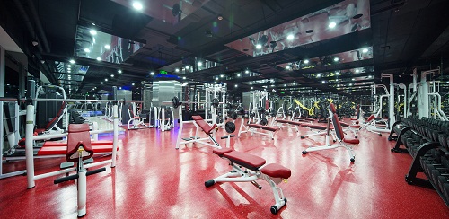 dung-cu-phong-gym-1