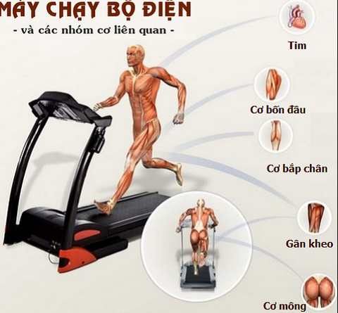 khỏe-sương-khớp-với-máy-chạy-bộ-điện