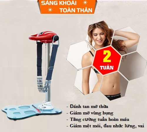  máy rung đứng Đại Việt DV-839