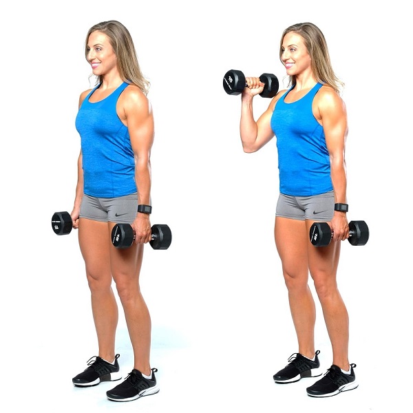 bai-tap-alternating-hammer-curl