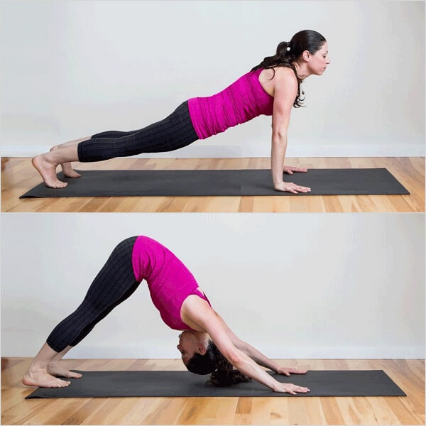 bai-tap-co-vai-tai-nha-plank-to-downward-dog