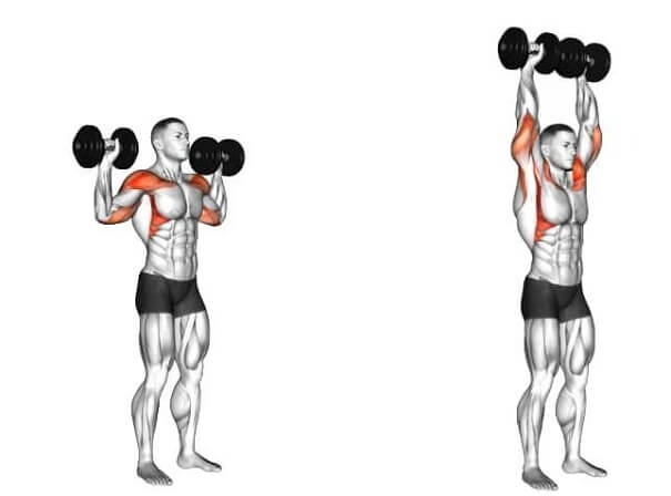 bai-tap-dumbell-shoulder-press