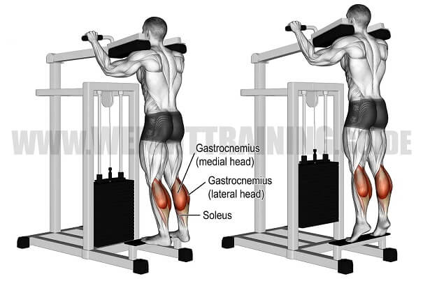 bai-tap-standing-calf-raise