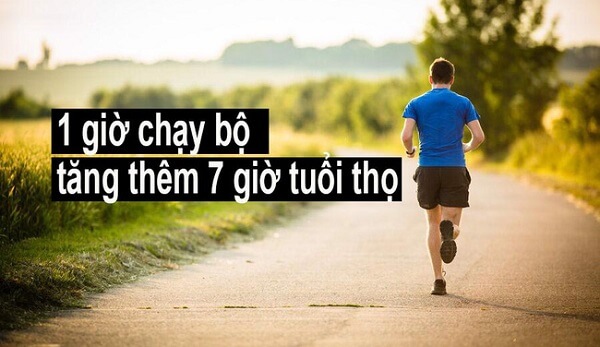 chay-bo-vao-mua-dong-loi-hay-hai-6