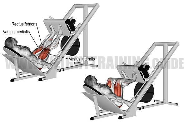 huong-dan-su-dung-may-tap-gym-leg-press