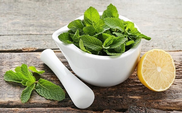 lemon-balm-giup-giam-cang-thang