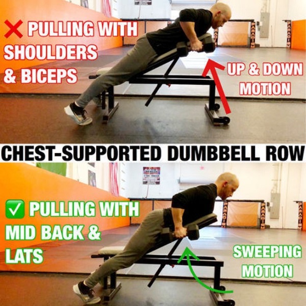 loi-sai-bai-chest-supported-row