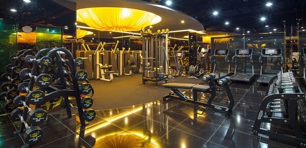 may-tap-phong-gym-8