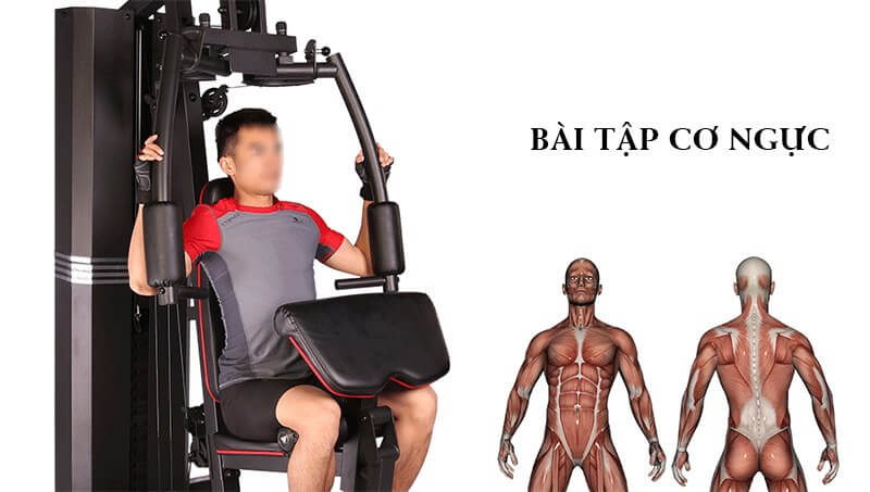 Review giàn tạ cao cấp Zasami KZ-84