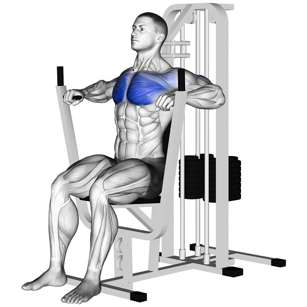 su-dung-may-machine-chest-press