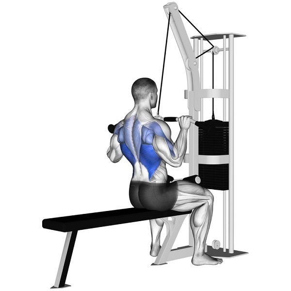 tac-dung-bai-tap-lat-pulldown