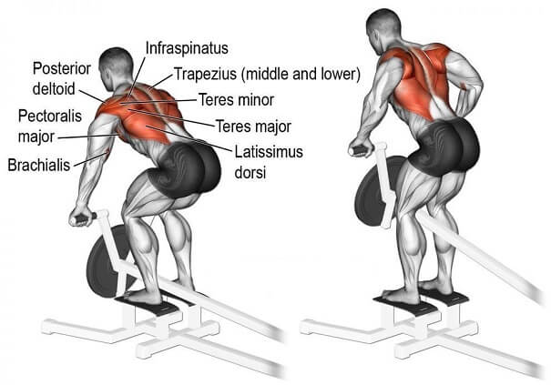 tac-dung-may-tap-t-bar-row