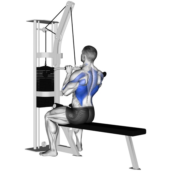 tap-close-grip-lat-pulldown