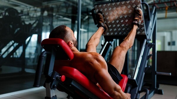 Cơ chân tuyệt đẹp với máy đạp chân phòng gym