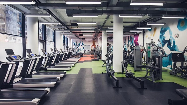 Những loại máy tập gym nào cần thiết trong phòng tập