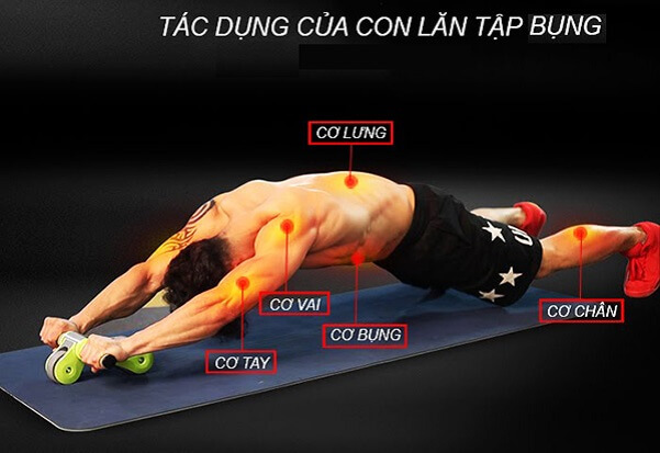 vi-sao-co-nguoi-tap-gym-lau-ma-co-bung-khong-6-mui-10